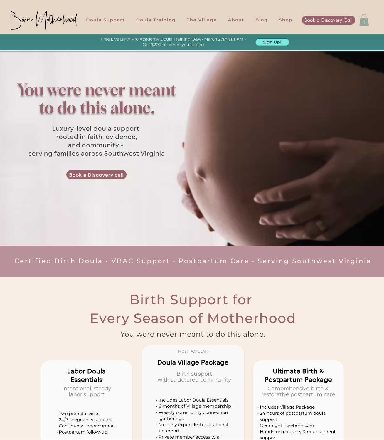 Screenshot preview of the Born Motherhood website